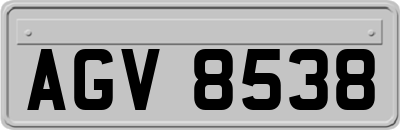 AGV8538