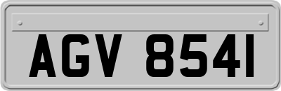 AGV8541