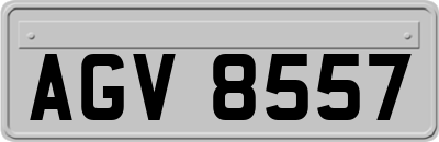AGV8557