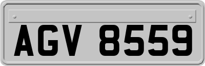 AGV8559