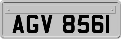 AGV8561