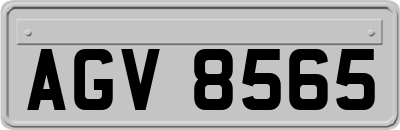 AGV8565