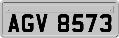 AGV8573