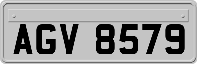 AGV8579