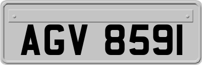 AGV8591