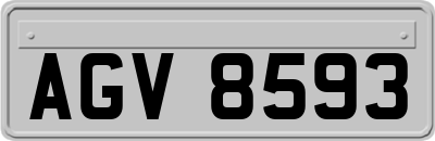 AGV8593