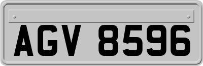 AGV8596