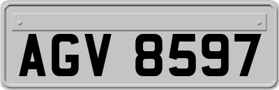 AGV8597