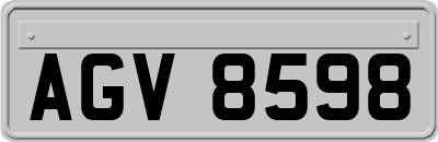 AGV8598