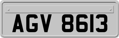 AGV8613