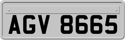 AGV8665