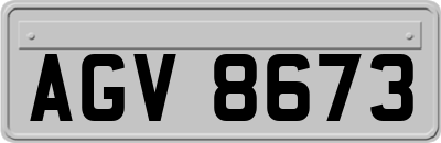 AGV8673