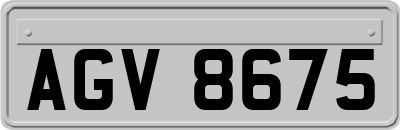 AGV8675