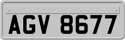 AGV8677