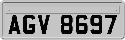 AGV8697
