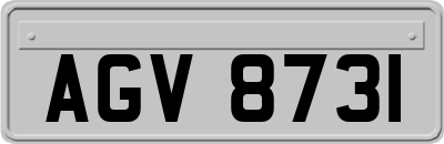 AGV8731
