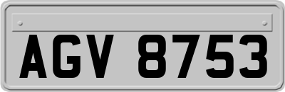 AGV8753