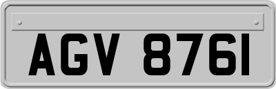 AGV8761