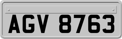 AGV8763