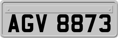 AGV8873