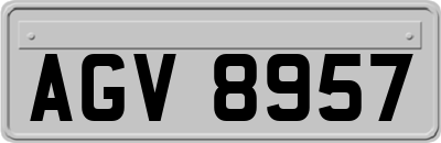 AGV8957