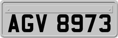 AGV8973