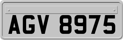 AGV8975