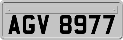AGV8977