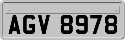 AGV8978