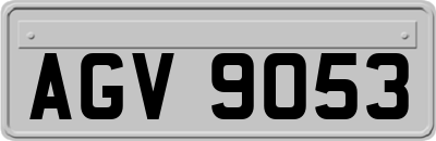 AGV9053