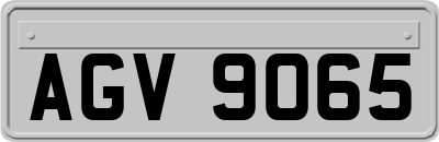 AGV9065