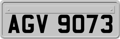 AGV9073