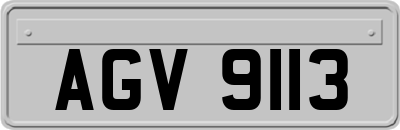 AGV9113