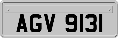 AGV9131