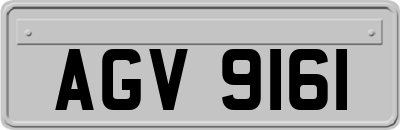 AGV9161