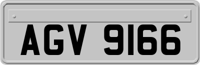 AGV9166