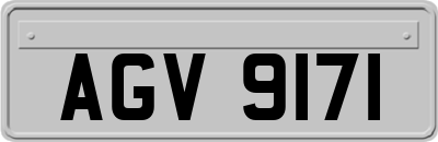 AGV9171