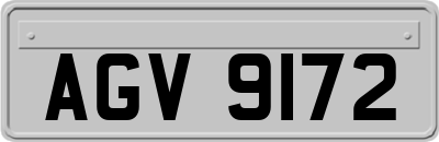 AGV9172