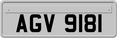 AGV9181
