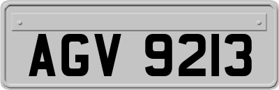 AGV9213