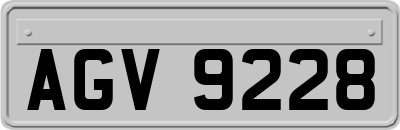 AGV9228