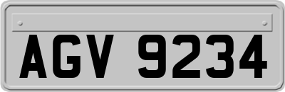 AGV9234