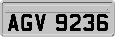 AGV9236