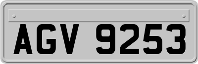 AGV9253