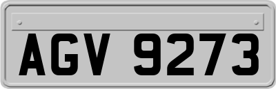 AGV9273