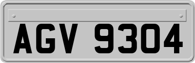 AGV9304