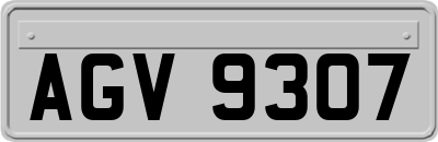 AGV9307
