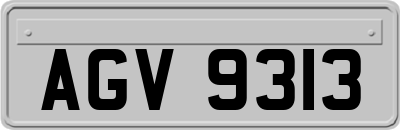 AGV9313