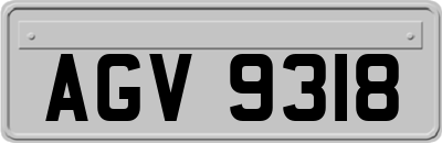 AGV9318
