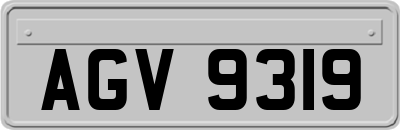 AGV9319